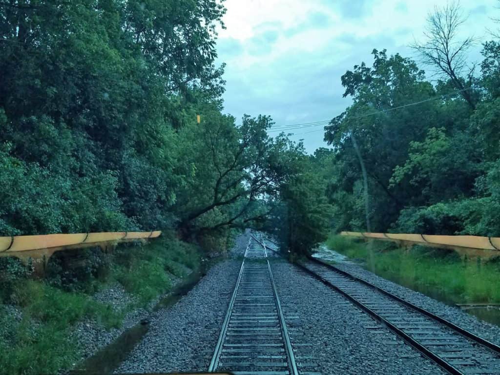 A downed tree near Libertyville and flooding nearby halted service on Metra’s Milwaukee District North line Wednesday morning. | Metra photo