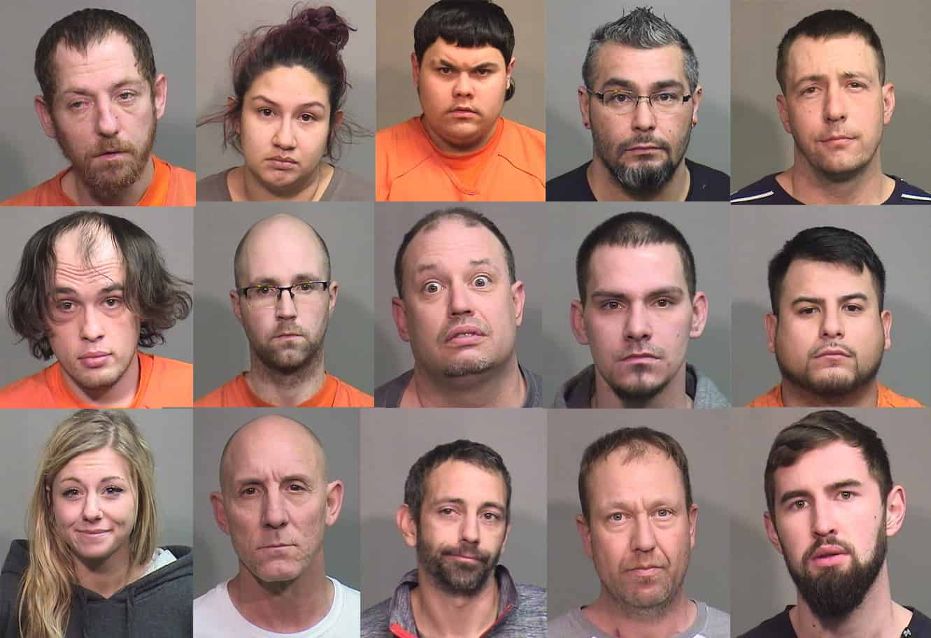 McHenry County Sheriff's Office arrests 15 people in felony warrant roundup