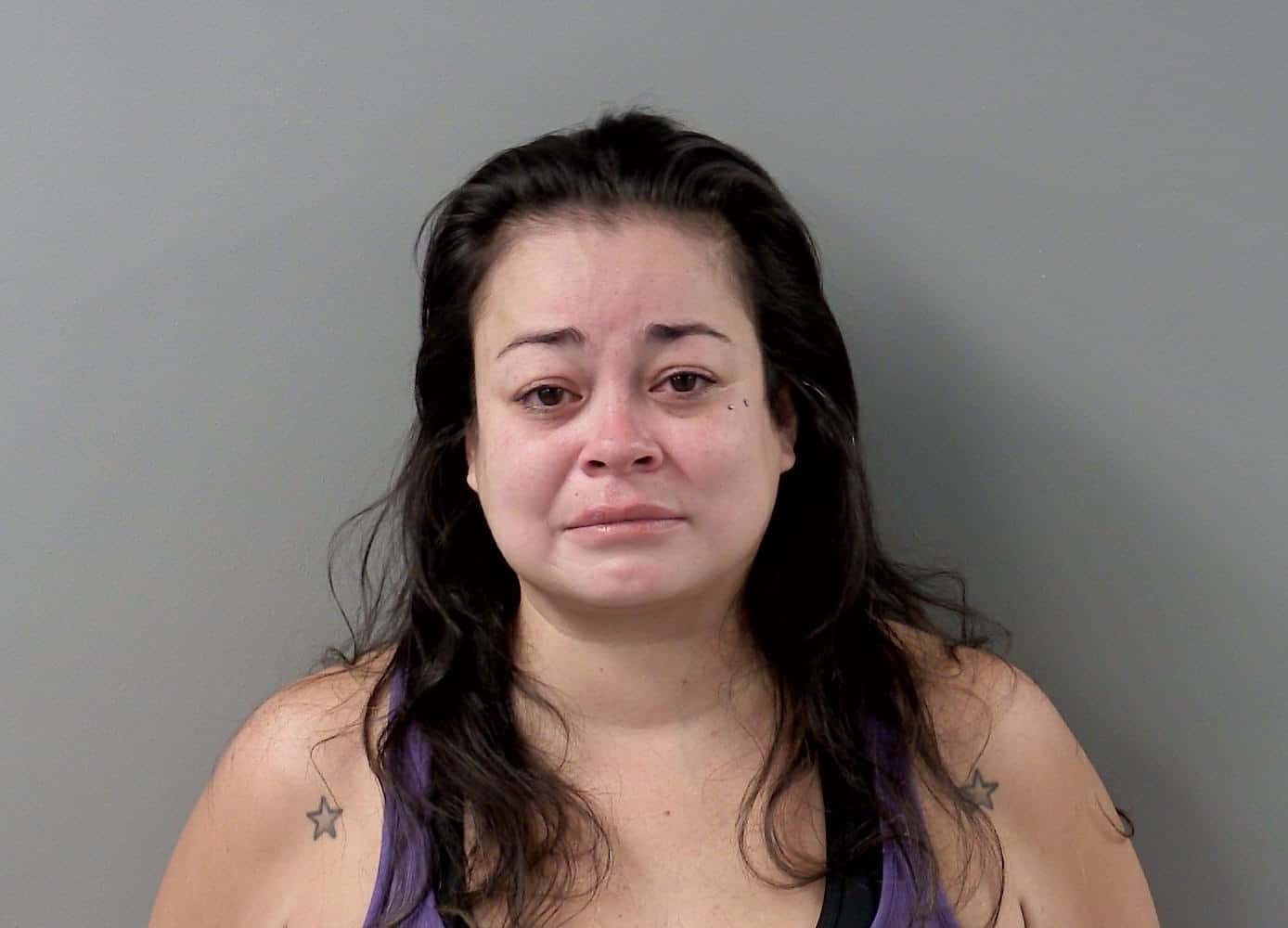 Mother Charged After Falsely Reporting 3 Year Old Girl Missing In Crystal Lake 5669