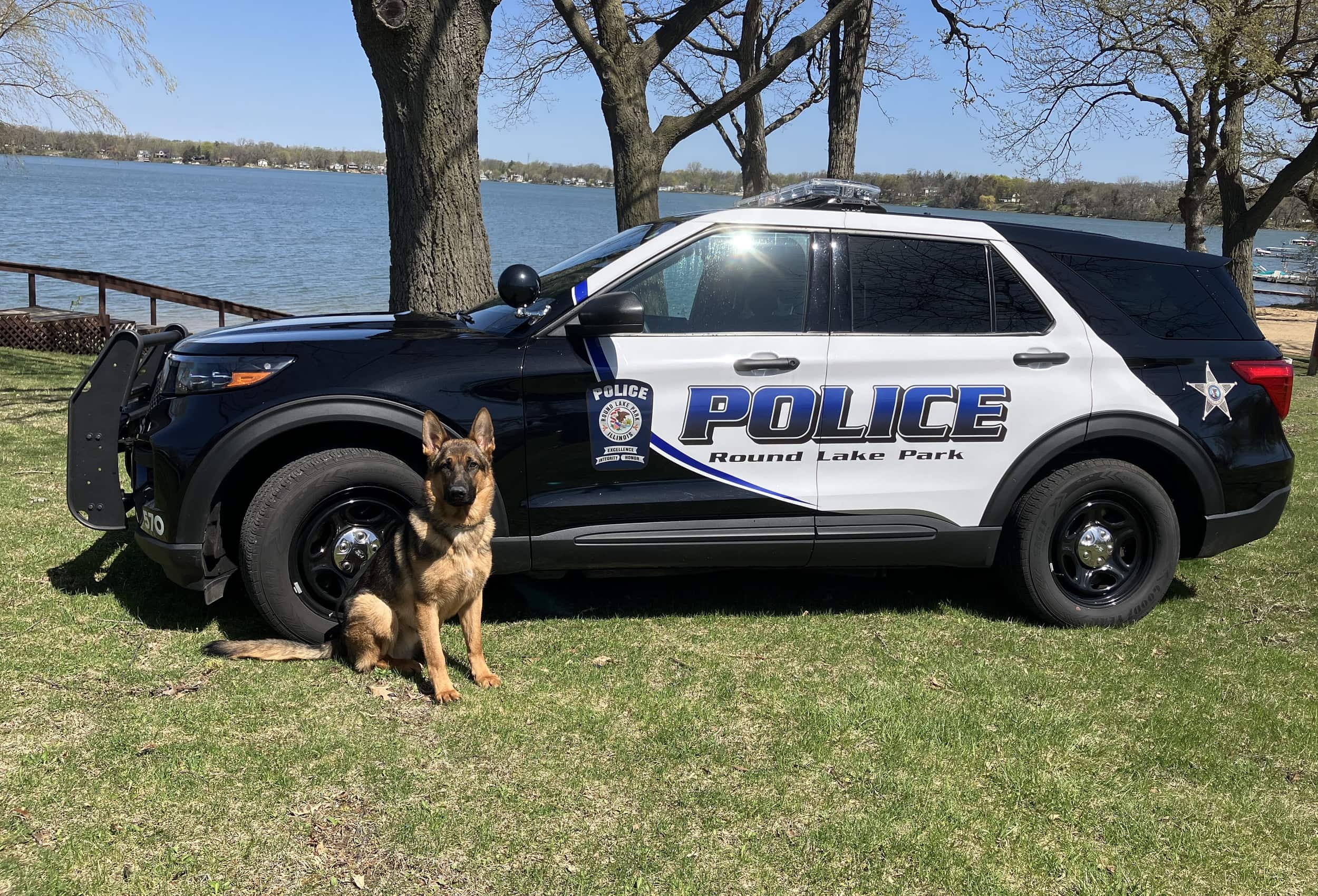 Gilpin seeks donations for care of township's police dog