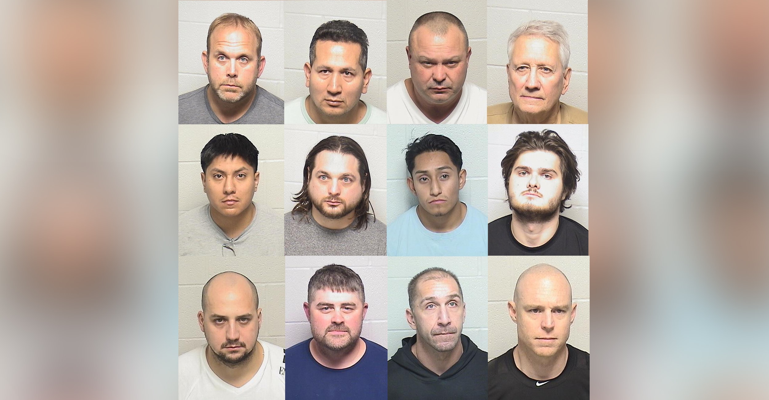 Law enforcement arrests 12 men in Lake County as part of human trafficking  suppression operation