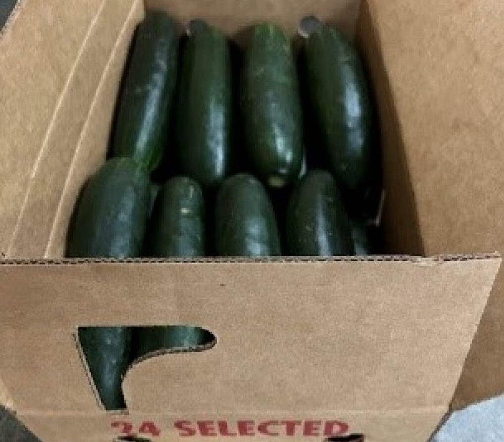 Cucumbers shipped to Illinois recalled due to possible salmonella